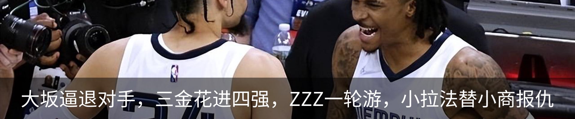 新闻动态