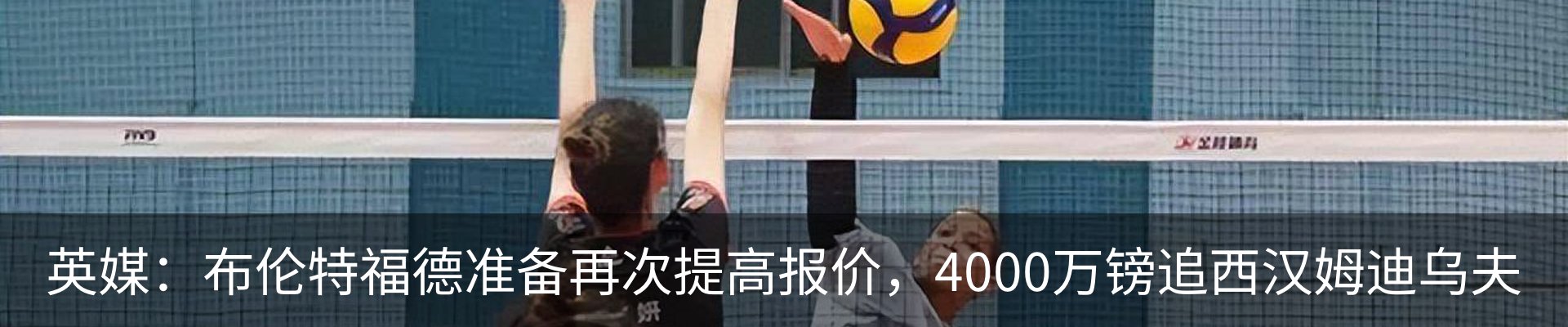新闻动态
